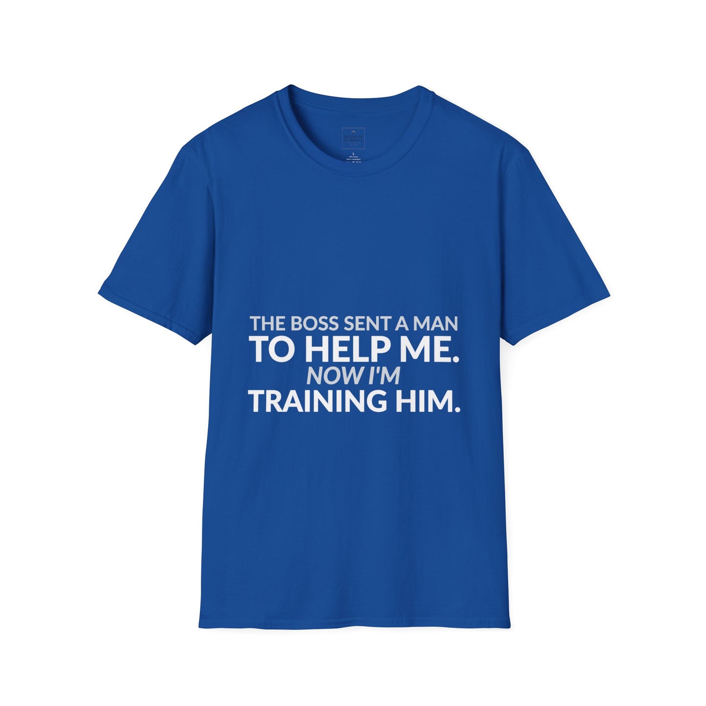 Boss Sent Help Now I Am Training Him Shirt product mockup 9 — House of Lushella