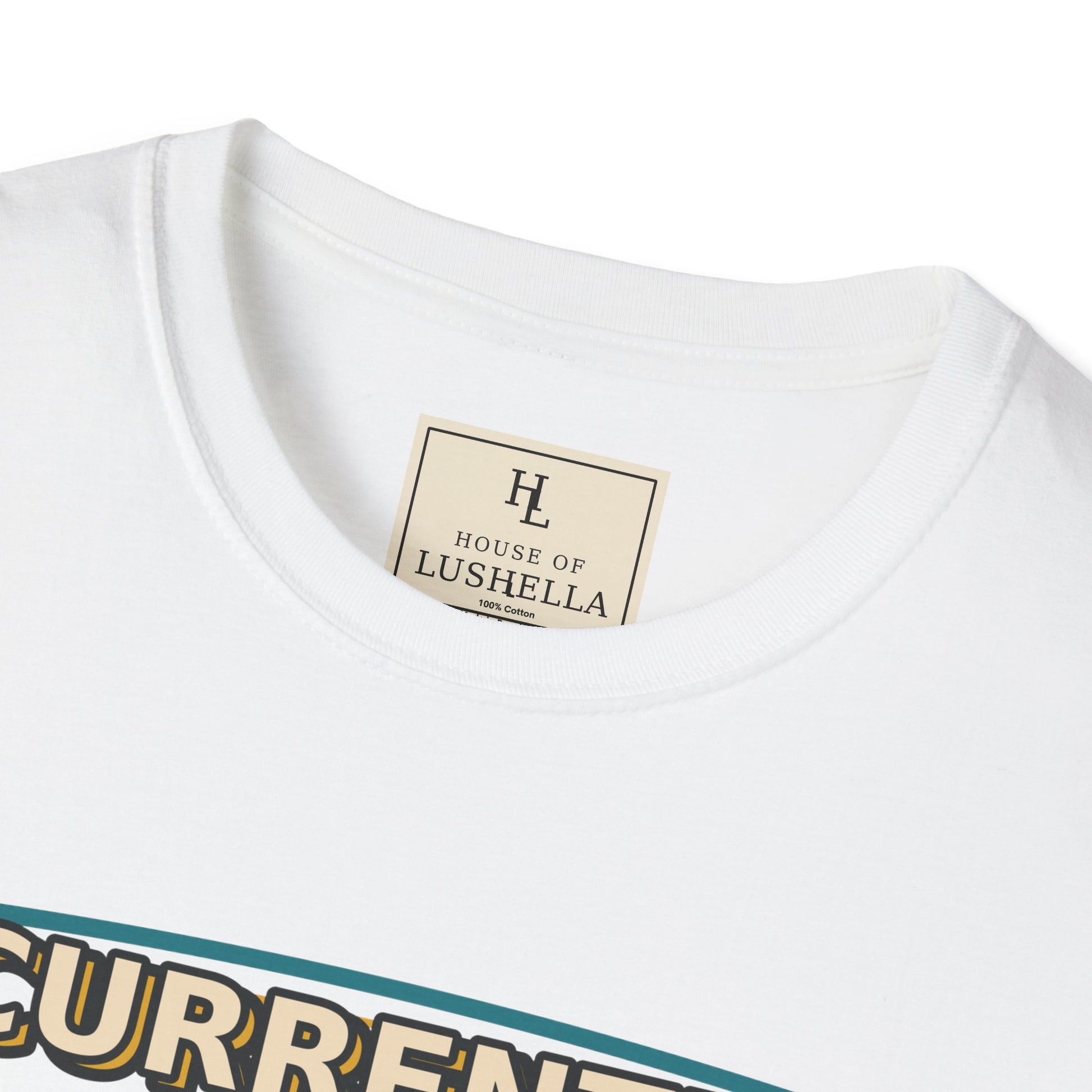 Currently in Charge Electrician Shirt product mockup, view 2